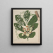 Rien - Sarah Featon — quadro incorniciato alla parete