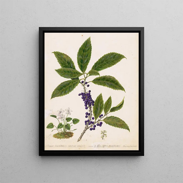 Dormir - Sarah Featon — quadro incorniciato alla parete