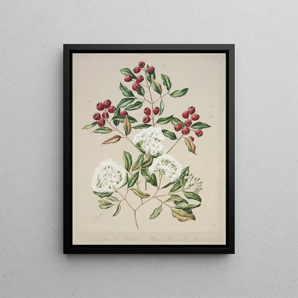 Maire Tawake - Sarah Featon — quadro incorniciato alla parete