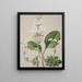 Ourisia - Sarah Featon — quadro incorniciato alla parete