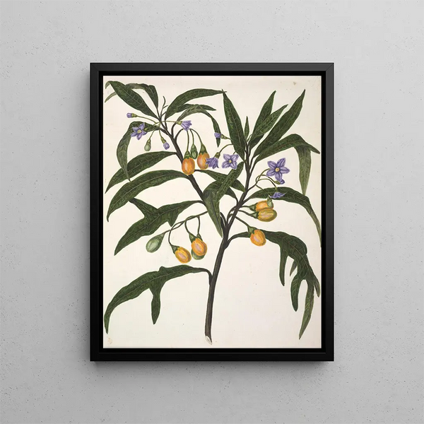 Bonjour - Sarah Featon — quadro incorniciato alla parete