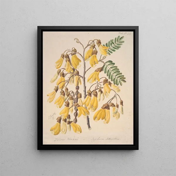 Sarah Featon - Yellow Kowhai.webp