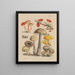 Illustrazioni dei funghi dei nostri campi e dei nostri boschi Pl17 - Sarah Price — quadro incorniciato alla parete