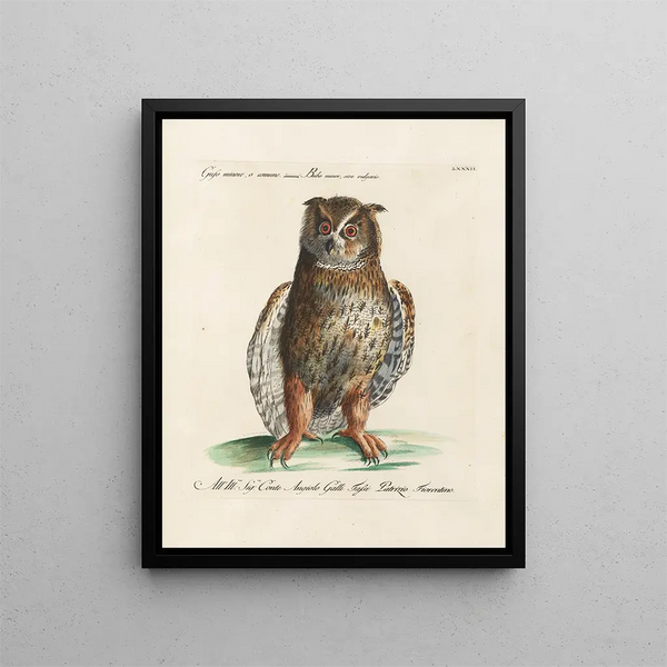 Ornithologie metodicamente digerito Pl082 - Saverio Manetti — quadro incorniciato alla parete