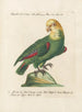Ornithologie metodicamente digerito Pl110 - Saverio Manetti — vista dell’opera