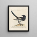 Ornithologie metodicamente digerito Pl152 - Saverio Manetti — quadro incorniciato alla parete