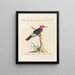 Ornithologie metodicamente digerito Pl169 - Saverio Manetti — quadro incorniciato alla parete