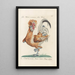 Ornithologia methodice digesta Pl191 - Saverio Manetti — quadro incorniciato alla parete