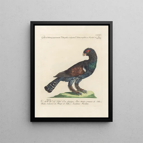 L'ornithologie ha digerito metodicamente Pl218 - Saverio Manetti — quadro incorniciato alla parete