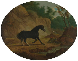 Un cavallo spaventato da un serpente - Sawrey Gilpin — vista dell’opera