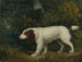 Un epagneul in un paesaggio - Sawrey Gilpin — vista dell’opera