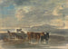 Cavalli e mucche in un paesaggio collinare - Sawrey Gilpin — vista dell’opera
