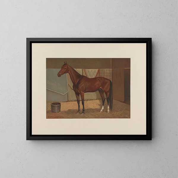 Clingstone - Scott Leighton — quadro incorniciato alla parete