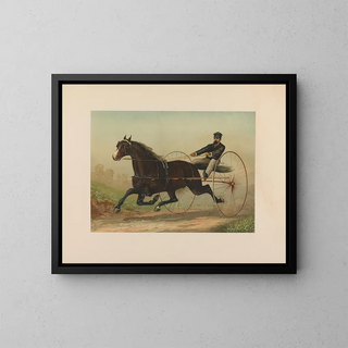 Contrabbandiere - Scott Leighton — quadro incorniciato alla parete