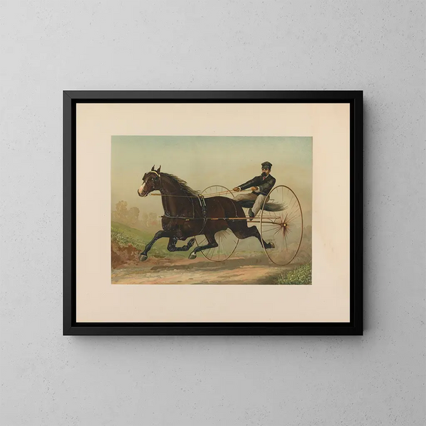 Contrabbandiere - Scott Leighton — quadro incorniciato alla parete