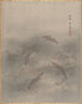Crevettes Ebi - Seki Shūko — vista dell’opera
