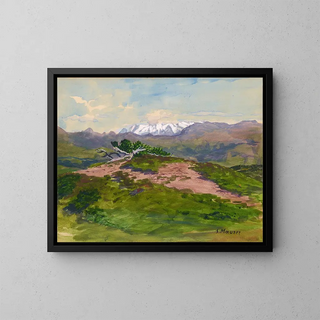 Serafin Maurer - Wanderweg in den Bergen mit Blick auf die Zillertaler Alpen.webp
