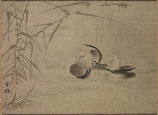 Sesson Shkei - Mandarin Duck.webp