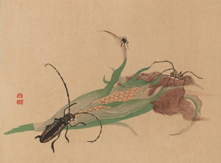 Chuka senzen PL02 - Shunkei Mori — vista dell’opera