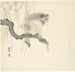 Scimmia su un ramo d'albero - Ohara Koson — vista dell’opera