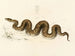 Python natalensis - Sir Andrew Smith — vista dell’opera