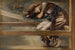 La serie La Rosa Eglantina, studio per La Corte del Giardino V - Sir Edward Coley Burne-Jones — vista dell’opera