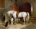 I favoriti di S.A.R. il Principe George di Cambridge - Sir Edwin Henry Landseer — vista dell’opera