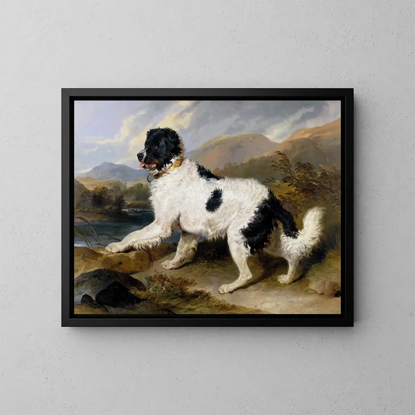 Leone, un cane Terre-Neuve - Sir Edwin Henry Landseer — quadro incorniciato alla parete
