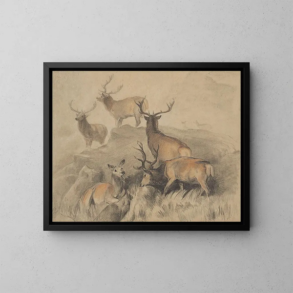 Alcuni dei più bei cervi della foresta - Sir Edwin Henry Landseer — quadro incorniciato alla parete