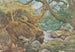Studio della natura Inveruglas - Sir Joseph Noel Paton — vista dell’opera