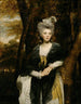 Dame Frances Finch - Sir Joshua Reynolds — vista dell’opera