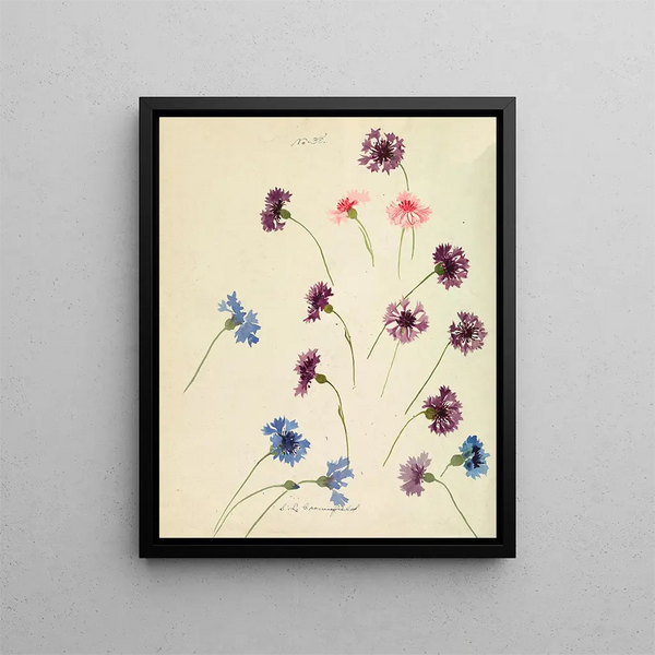 Sophia Louise Crownfield - Cornflowers.webp