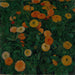 Soucis - Koloman Moser — vista dell’opera