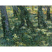 Riproduzione del dipinto Sotto bosco - Vincent van Gogh