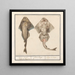 Squatina viola della famiglia dei Rhinobatidae - Anselmus Botius de Boodt — quadro incorniciato alla parete
