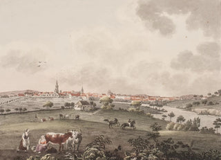 Sren L Lange - Odense p Fyn fra den stlige side.webp