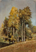 Studio di alberi - Stanisław Filibert Fleury — vista dell’opera