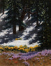 Crocus e calendula dei pantani - Stanisław Witkiewicz — vista dell’opera