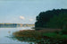 Lago con ninfee - Stanisław Witkiewicz — vista dell’opera
