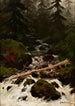 Ruisseau dans la forêt - Stanisław Witkiewicz — vista dell’opera