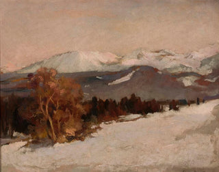 Paesaggio montano in inverno - Stefan Filipkiewicz — vista dell’opera