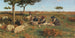 La tosatura delle pecore - Stefano Bruzzi — vista dell’opera