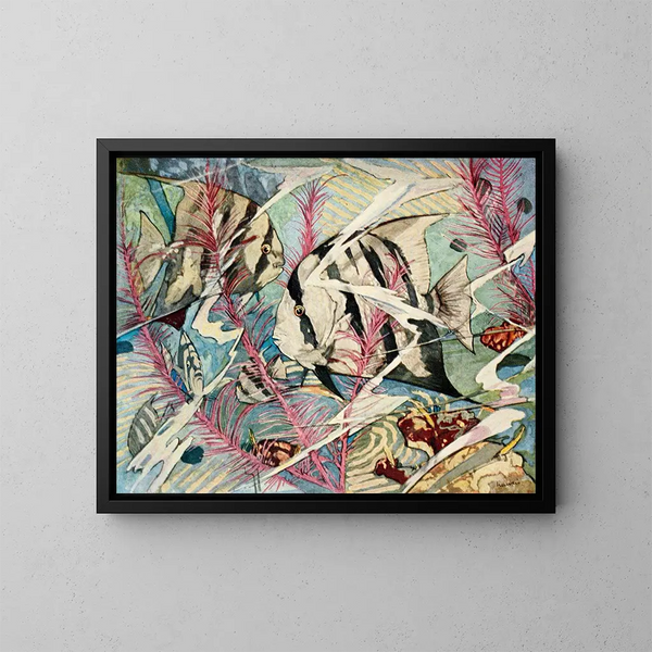 Spada di pesce dell'Atlantico - Stephen Haweis — quadro incorniciato alla parete