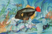 Pesce pazzo - Stephen Haweis — vista dell’opera