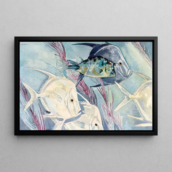 Stephen Haweis - Moonfishes.webp