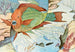 Poisson-perroquet - Stephen Haweis — vista dell’opera