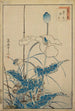 Oiseau au-dessus des coquelicots - Sugakudo — vista dell’opera