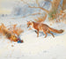 Sorvolato dai battenti - Archibald Thorburn — vista dell’opera