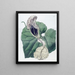 Aristoloche à fleurs de bateau - Sydenham Edwards — quadro incorniciato alla parete