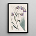 Cynoglosse à fleurs de buglosse - Sydenham Edwards — quadro incorniciato alla parete